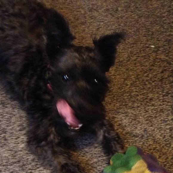 Meet your Posher, Roy - Picture 1 of 1